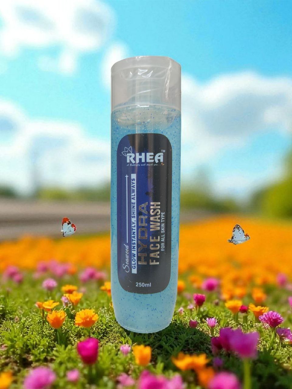 photo 9 2025 11 11 07 12 12